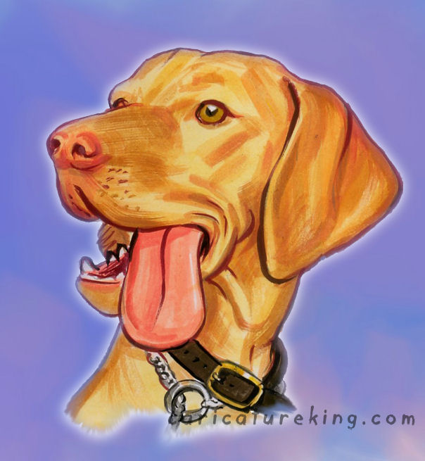 dog caricature caricature of a dog
