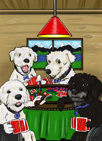 cards (34K)