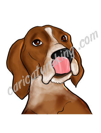 dog2 (23K)
