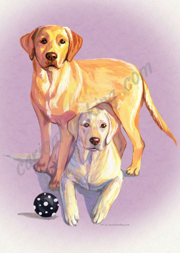 dog5 (37K)